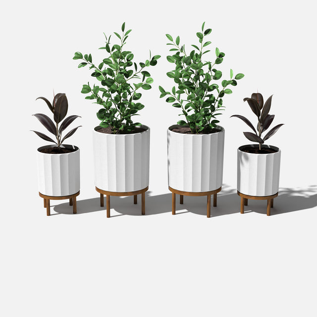 column raised duo