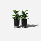 demi raised planter
