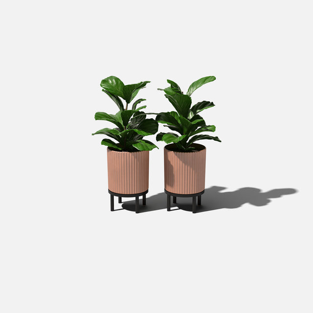 demi raised planter