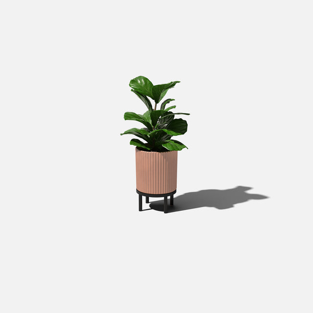 demi raised planter