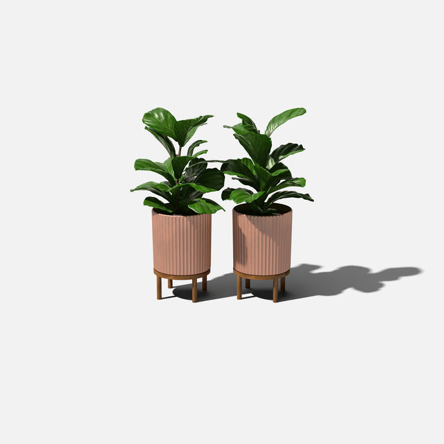 demi raised planter