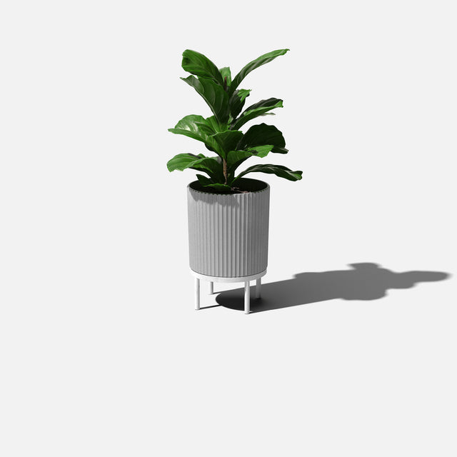 demi raised planter