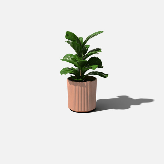 demi planter