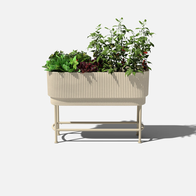 demi raised garden bed