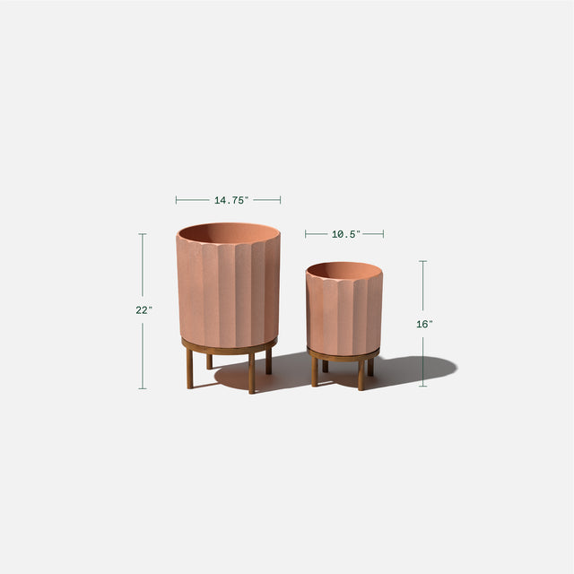 column raised duo