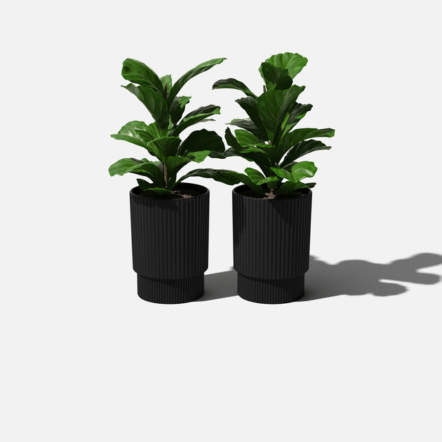 demi planter