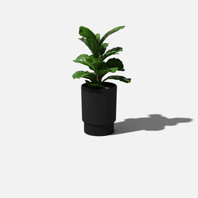 demi planter