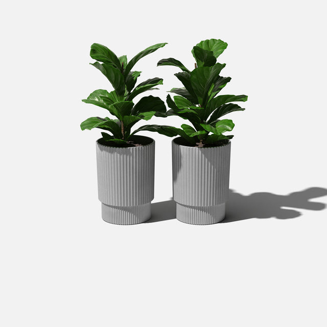 demi planter