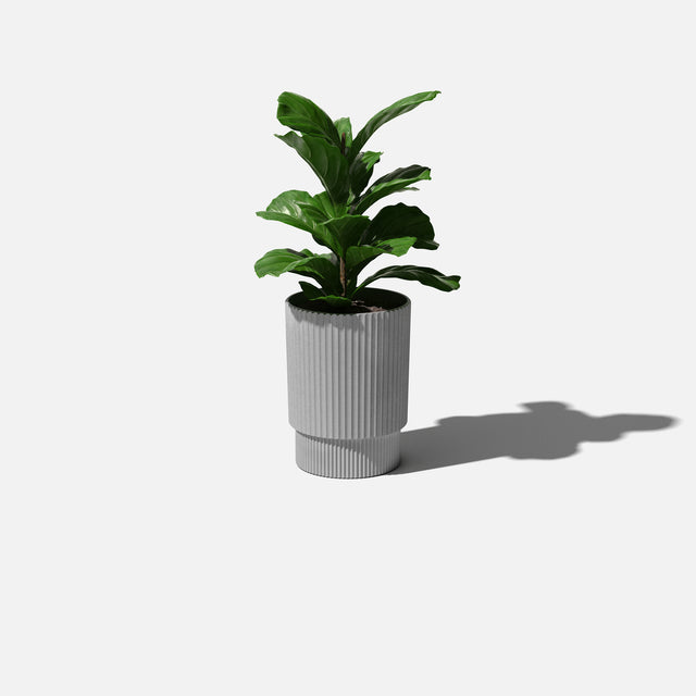 demi planter