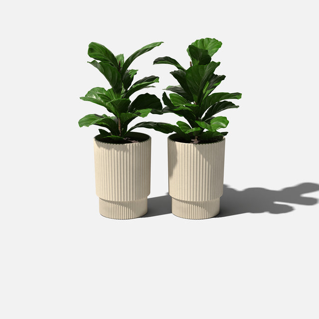 demi planter