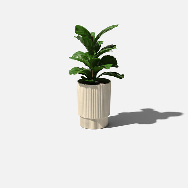 demi planter