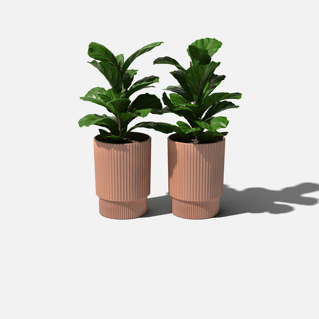 demi planter