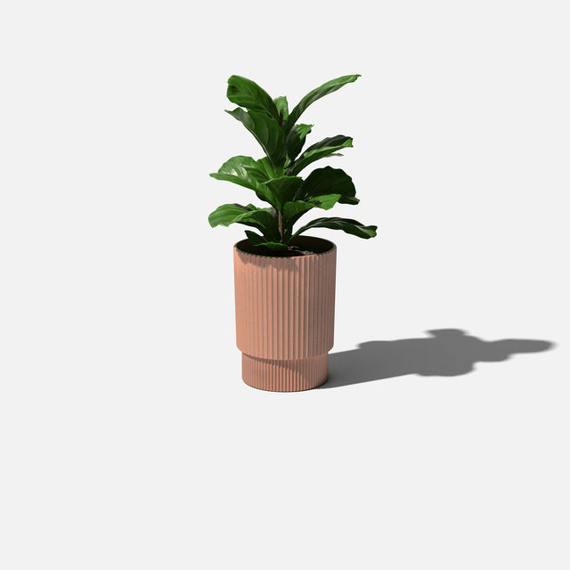 demi planter