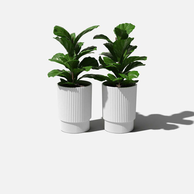 demi planter