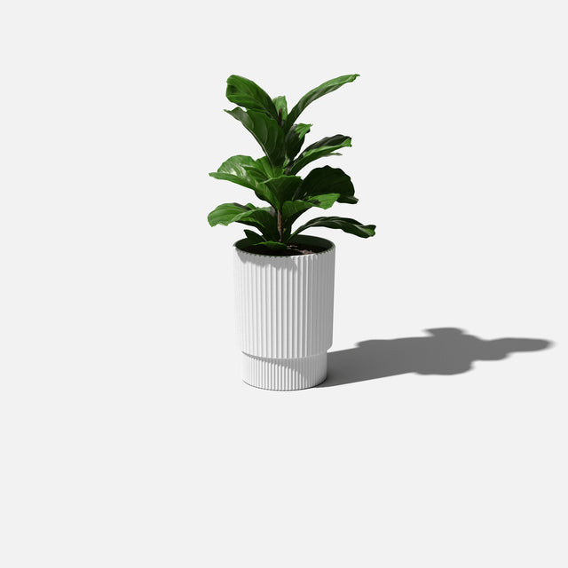 demi planter