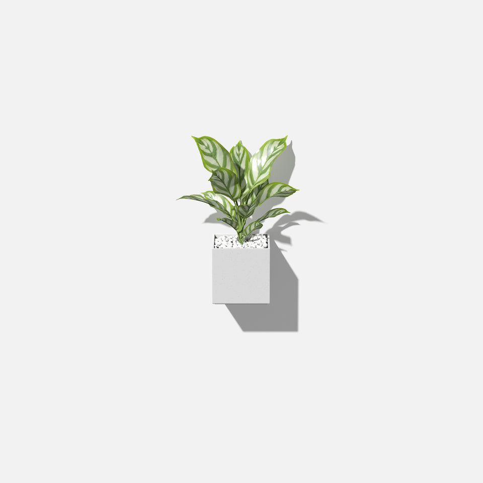 geo hanging cube planter