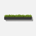 geo hanging trough planter
