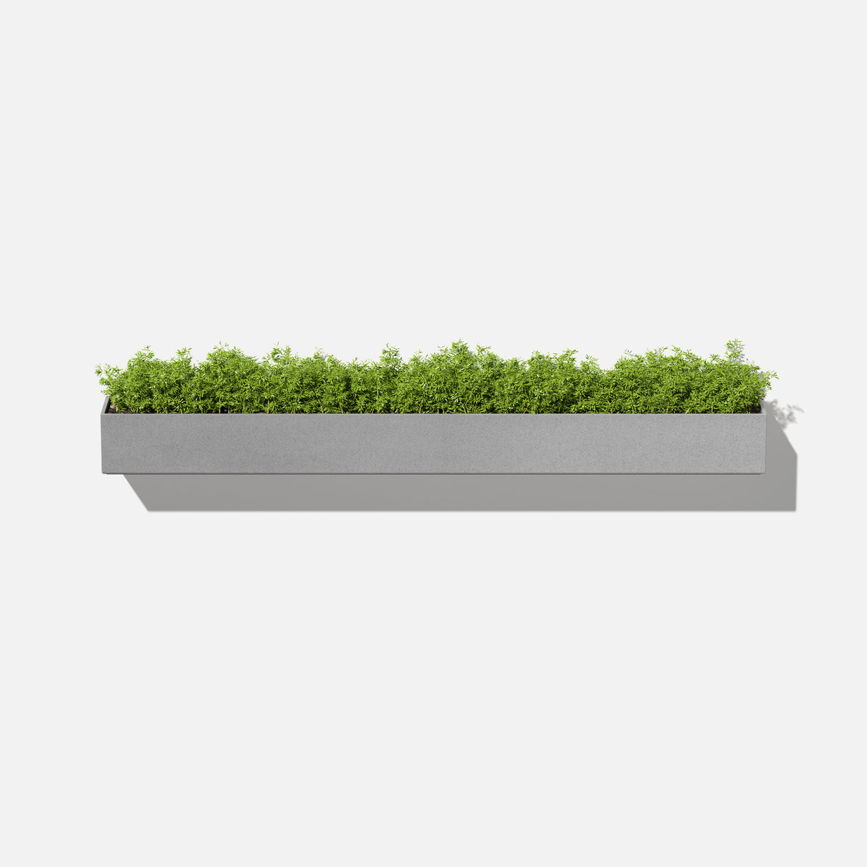 plant box hanging Geo Hanging Planter Black by Veradek