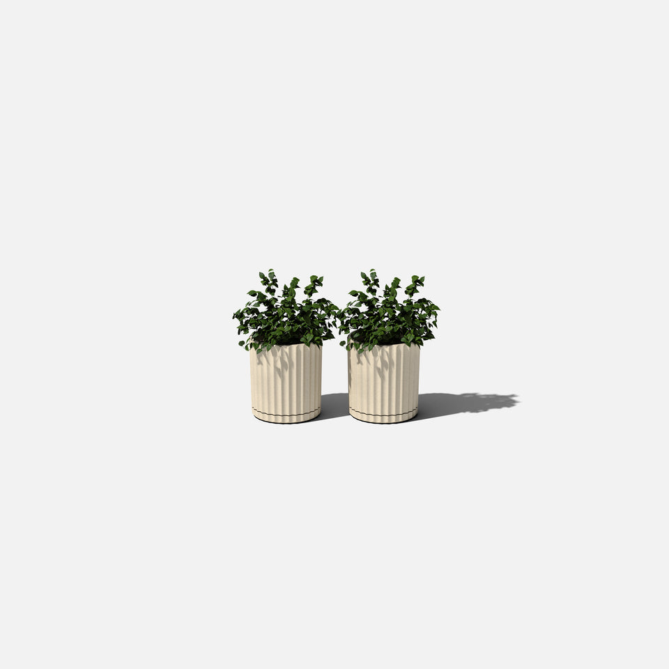 demi six planter