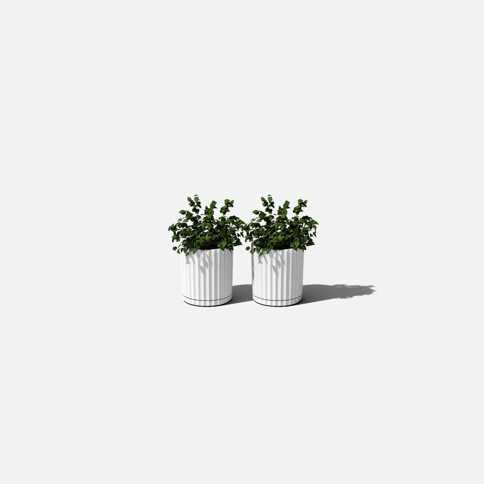 demi six planter