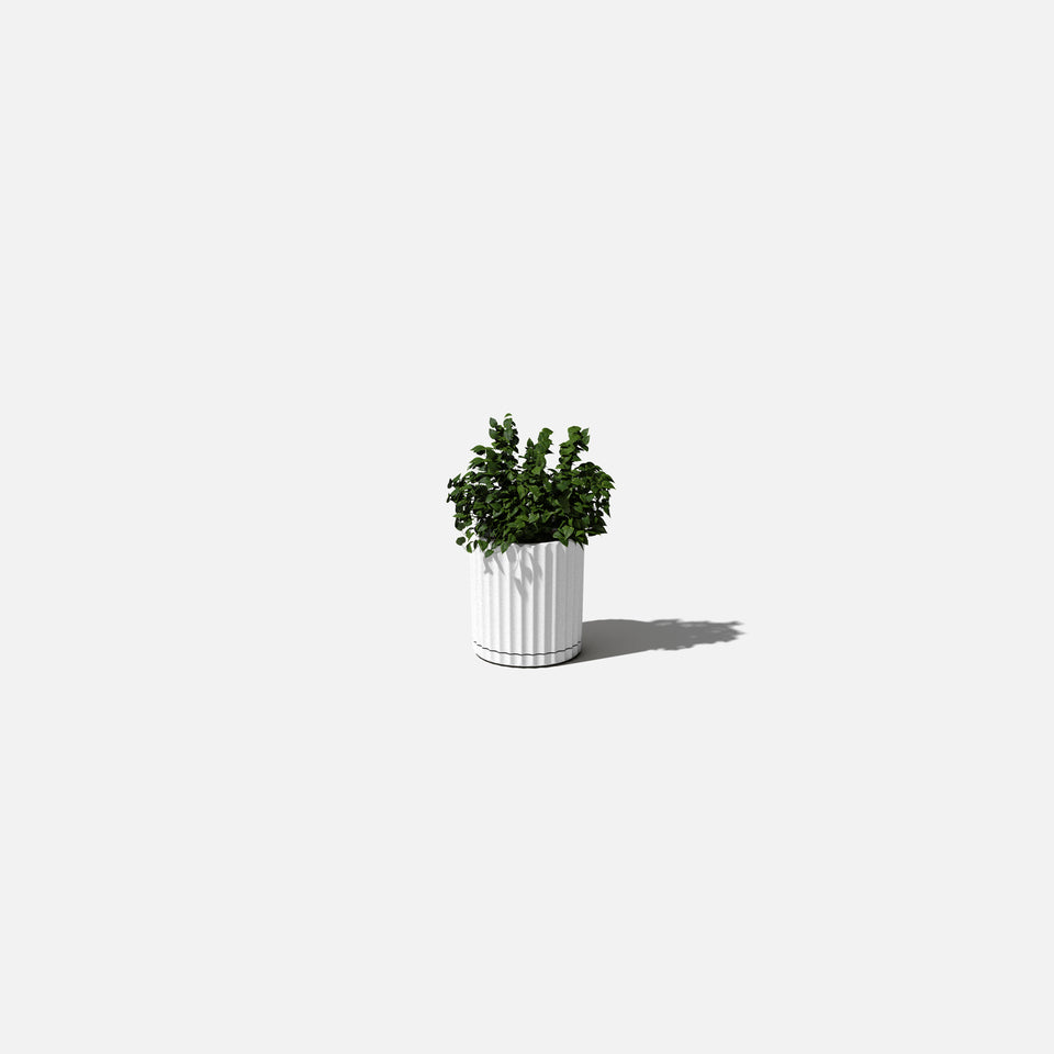 demi six planter