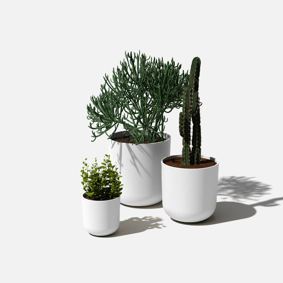 mason kona planter trio