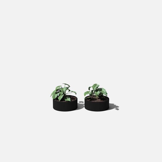 mod bowl planter duo