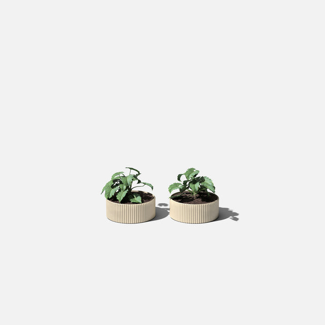 mod bowl planter duo