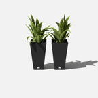 pure midland planter