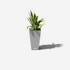 pure midland planter