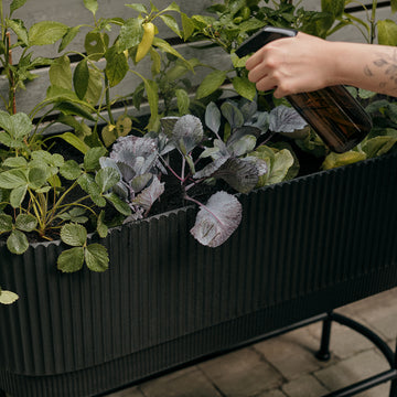 veradek self watering planter instructions demi raised garden bed – Veradek US