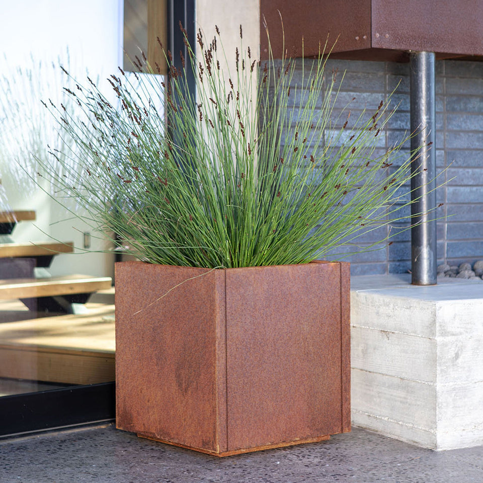 corten cube planter