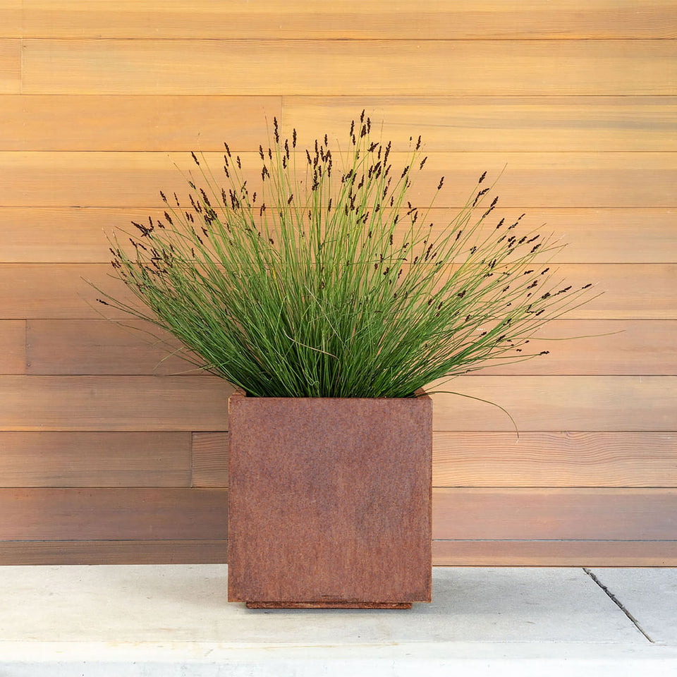 corten cube planter