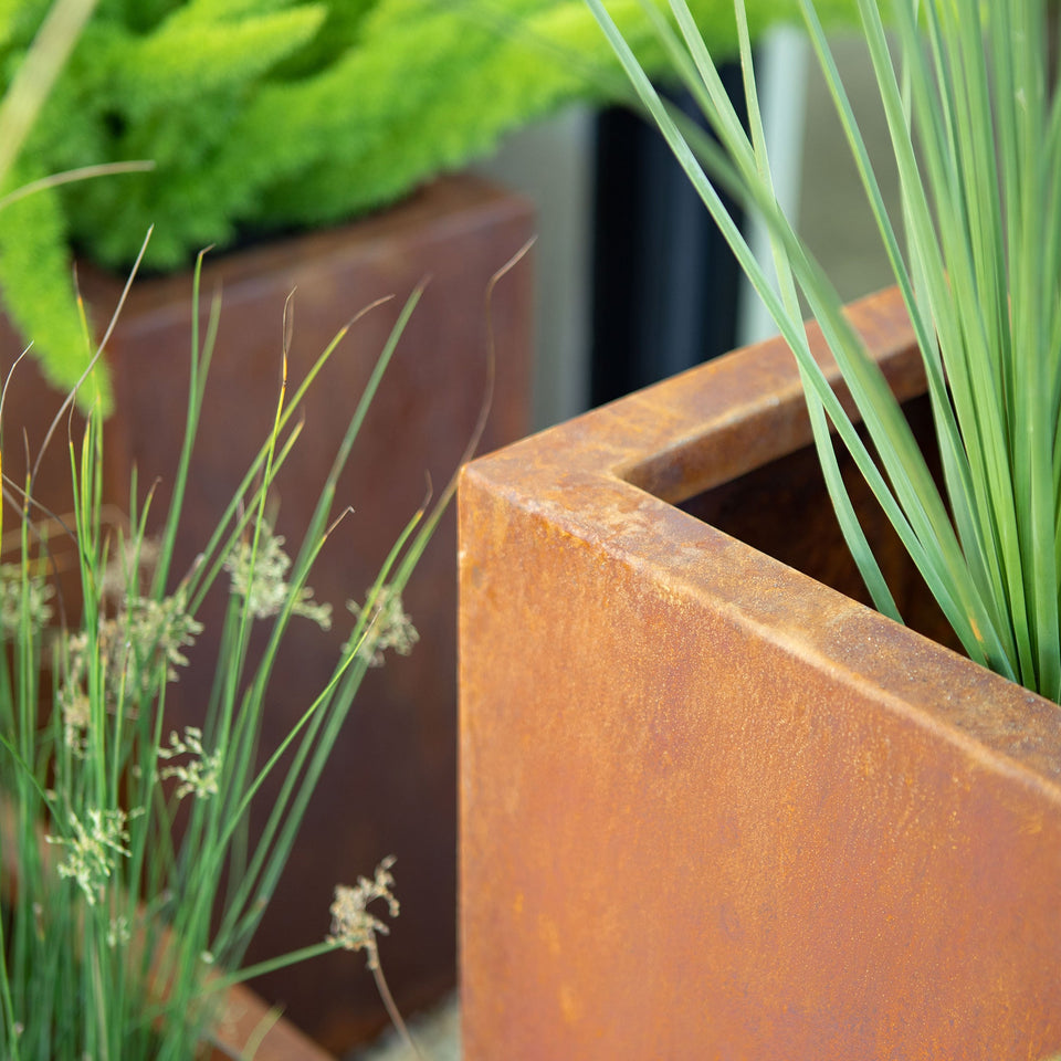 corten cube planter