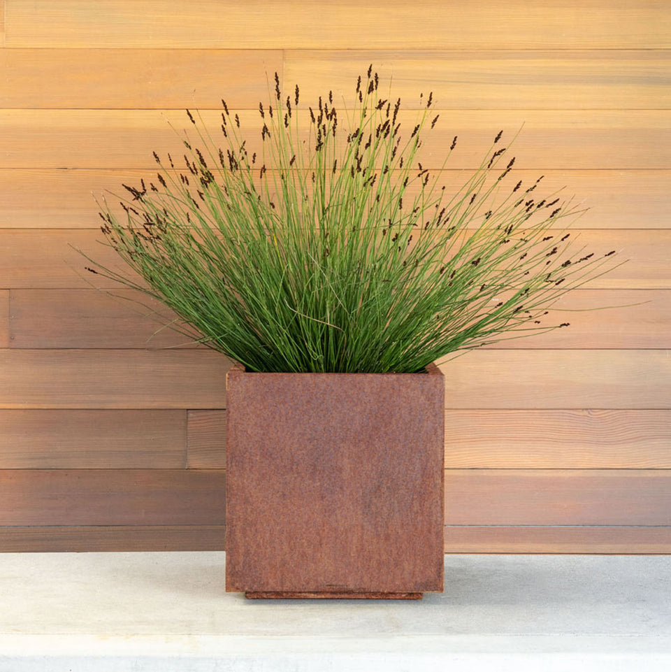 corten cube planter