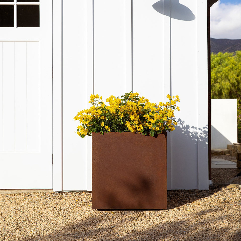 corten cube planter