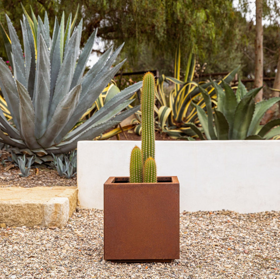 corten cube planter