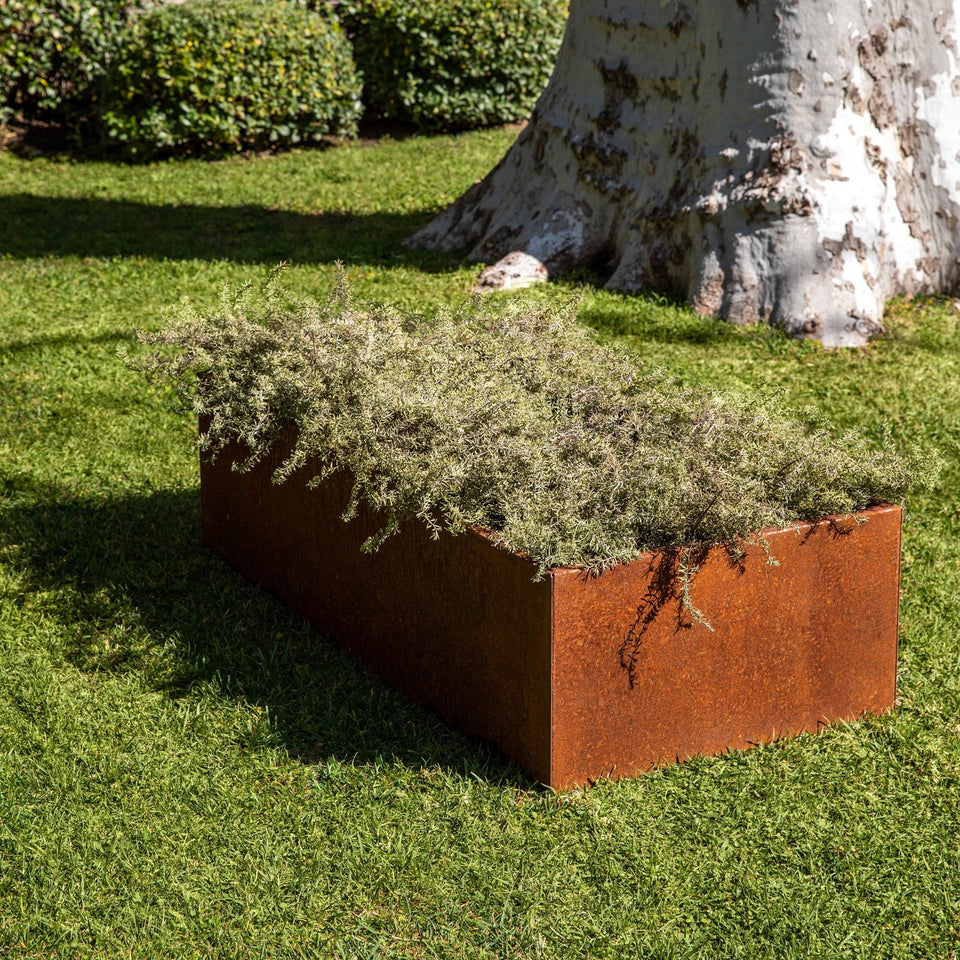 corten garden bed planter