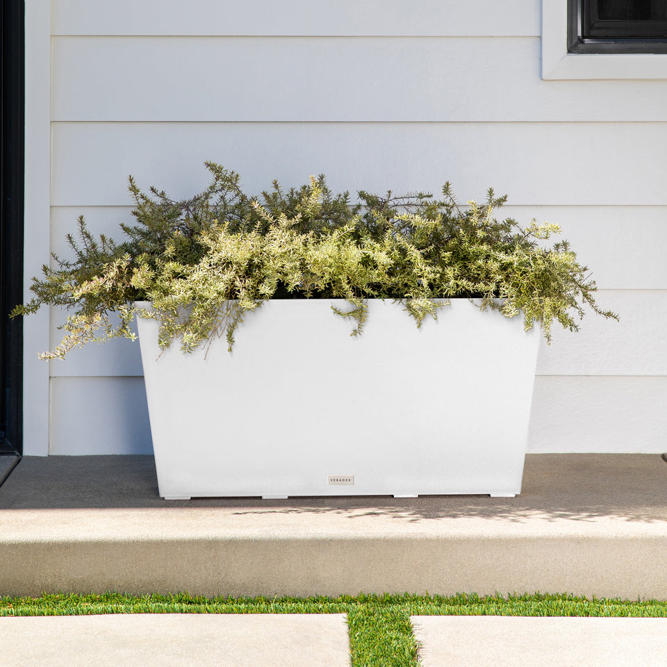 pure midori planter