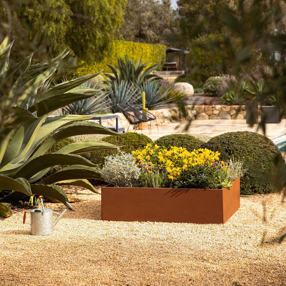 corten garden bed planter