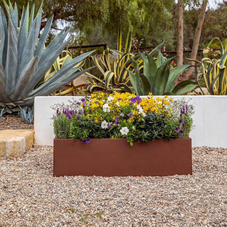 corten garden bed planter