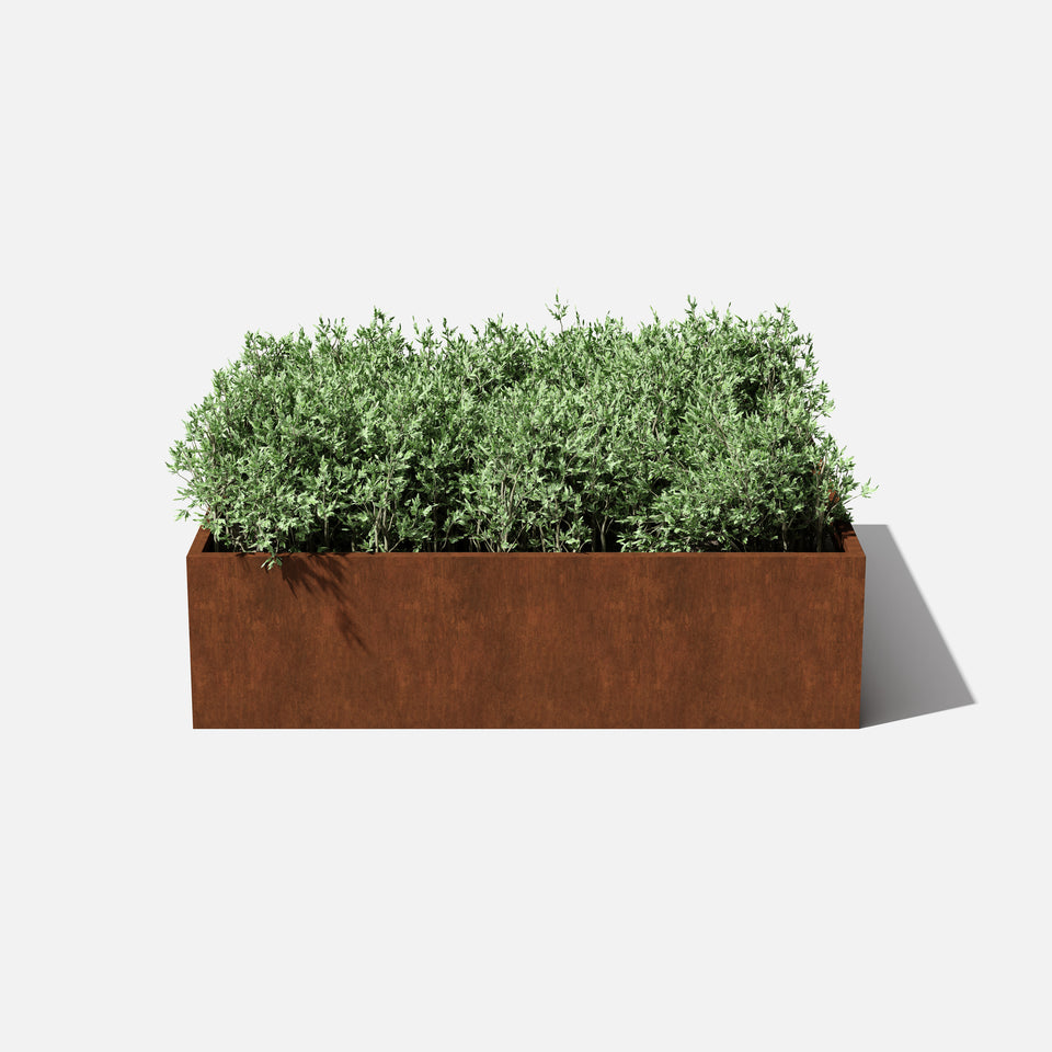 corten garden bed planter