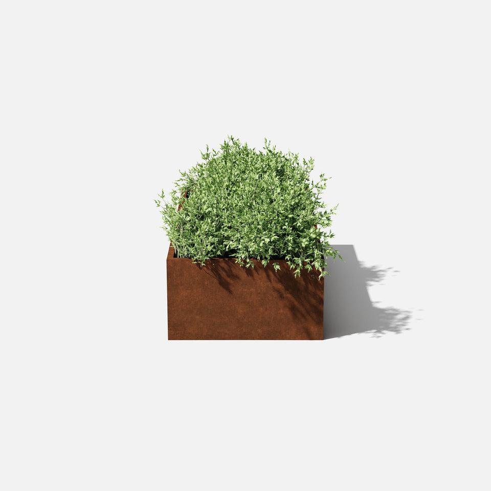 corten garden bed planter