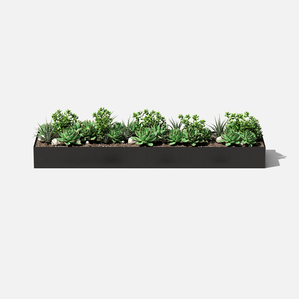 geo wide planter