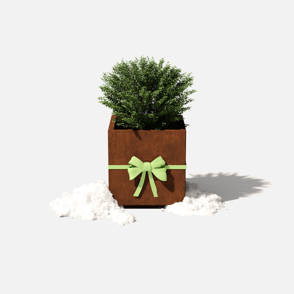 corten cube planter