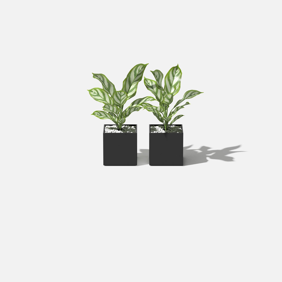 geo cube planter