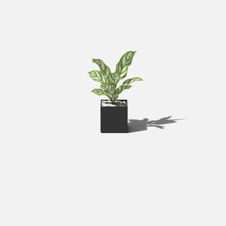 geo cube planter