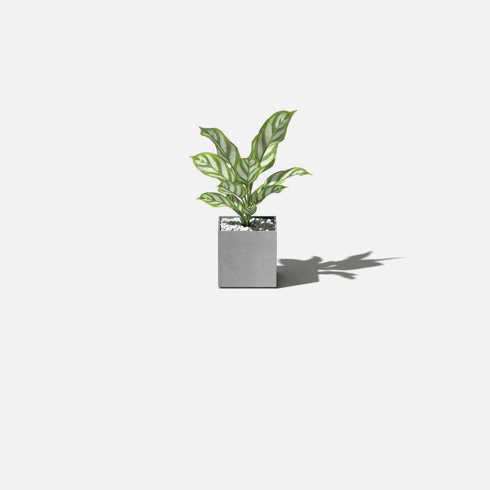 geo cube planter