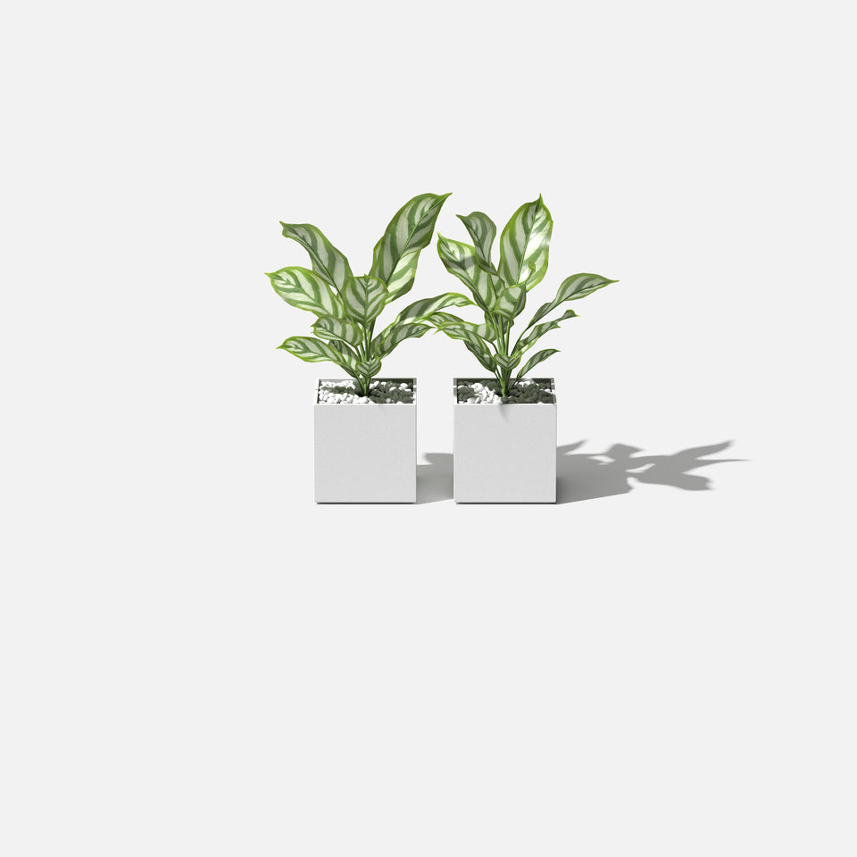 geo cube planter