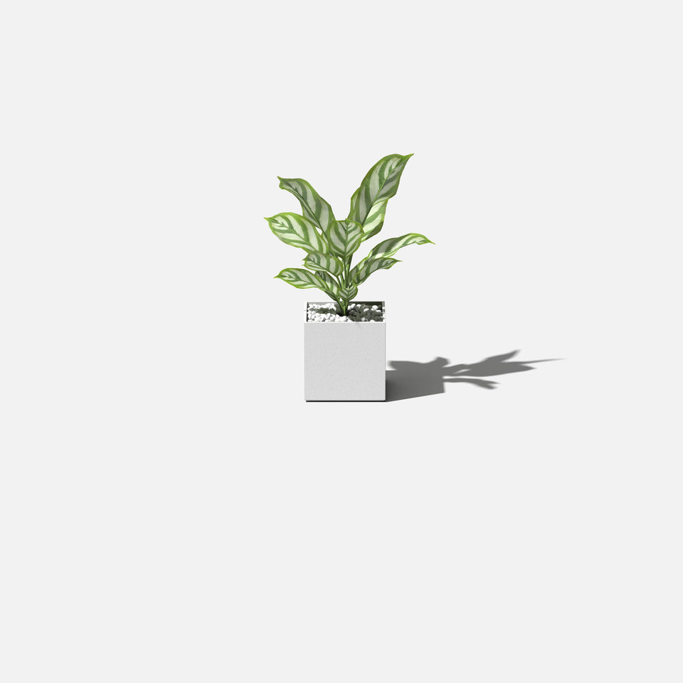 geo cube planter